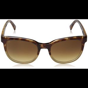 Electric Bengal Smokey Tort Nude OHM Bronze Gradie